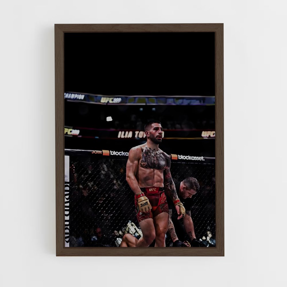 Poster Ilia l'Inébranlable – affiche MMA (vue 5)